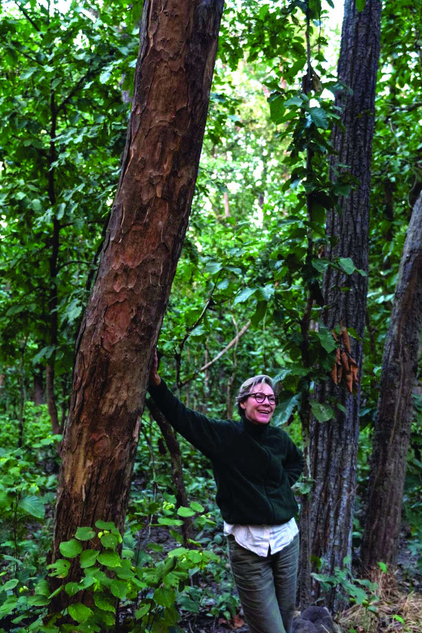 Ambassador taking a break during a safari in Bardiya National Park